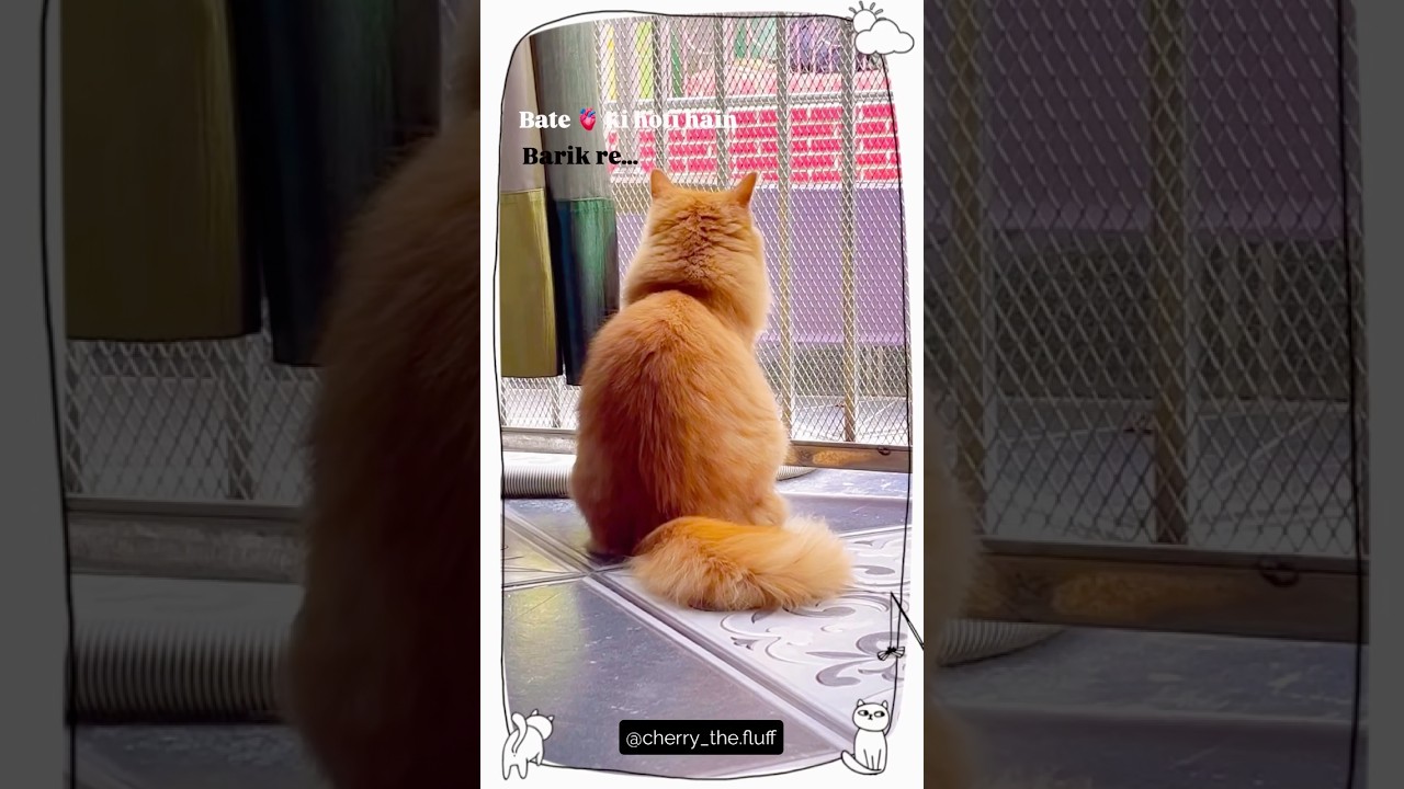 Tere sang laagi jo PREET re..! 🩷🤍 