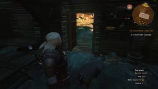 The Witcher 3 06.09.2016 - 11.50.31.15.DVR.webm