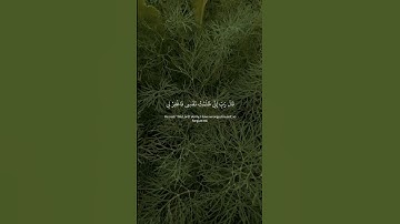 قال رب اني ظلمت نفسي فاغفر لي #المنشاوي #سورة_القصص #قران_كريم #المصحف #راحة_نفسية