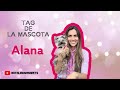 TAG DE LA MASCOTA - Alana - Tips By Natalia Ospina