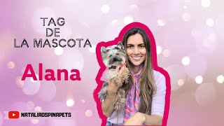 TAG DE LA MASCOTA  Alana  Tips By Natalia Ospina