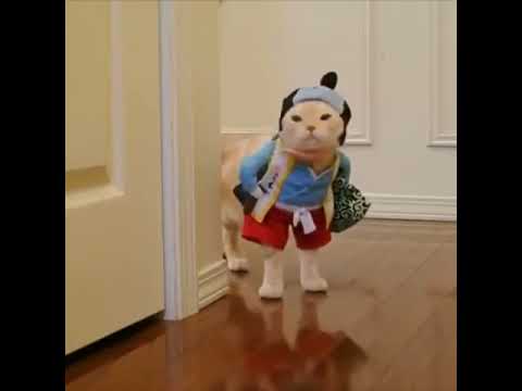 October 20, 2017 - YouTube