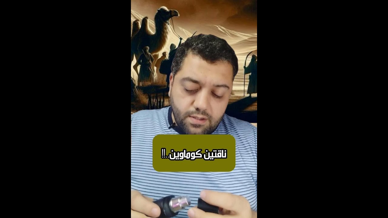 ناقتين كوماوين