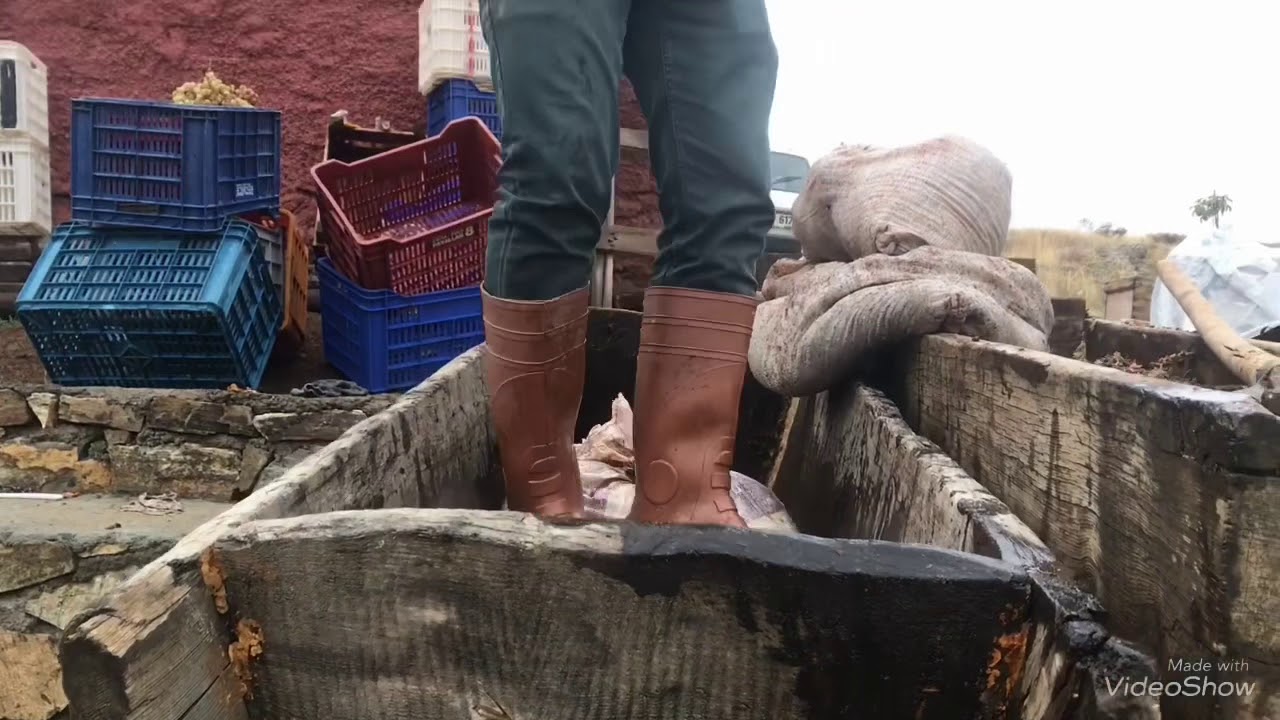 Elbistan Kabaktepe Üzüm Pekmezi Yapılışı Yusuf Cuma nın Bağı 20.10.2018