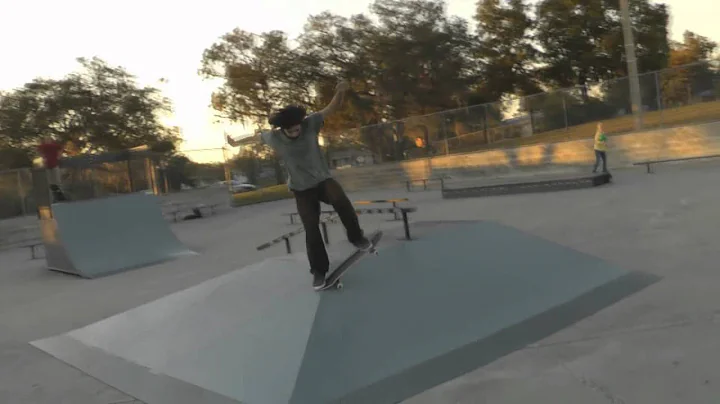 Stewy's Skatepark:the video-Joe Kokoszka and Antho...