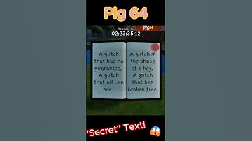 "Secret" Book in NEW PIG 64? 📔