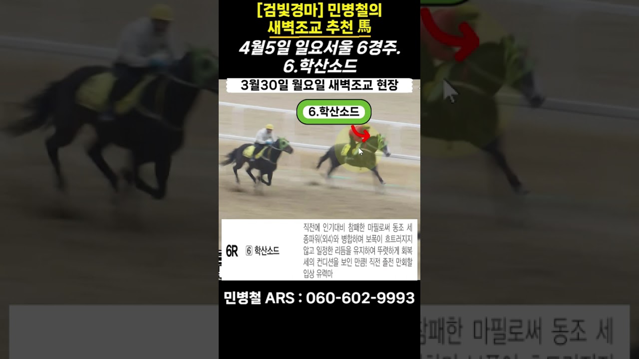 #4월5일 일요일!민병철의 새벽조교 우수馬!