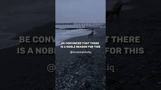 Download Lagu Als Allah je geen #shorts geeft MP3