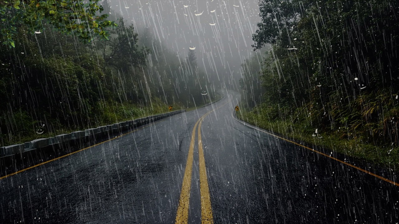 Bruits de Pluie pour Calmer l'esprit et Dormir Profondément en 10 Minutes - Pluie dans belle forêt