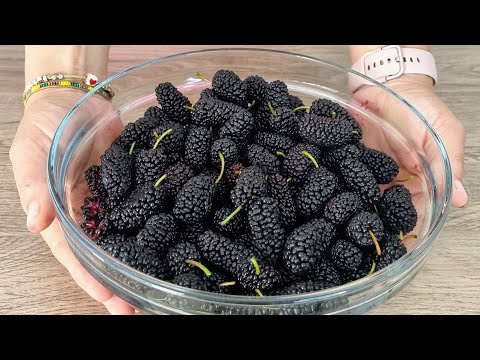 ვიდეო: BlackBerry blend ისევ მუშაობს?