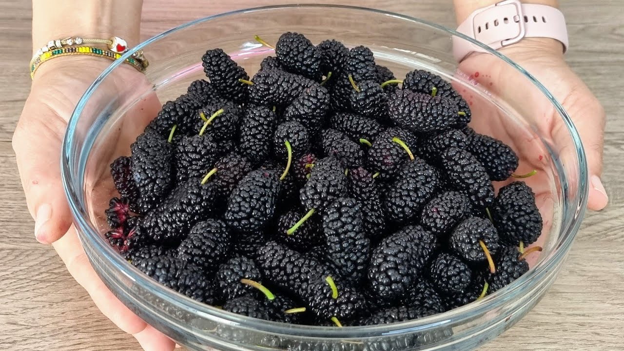 Black Mulberry Juice Recipe How to make Fruit Juice at home Enable