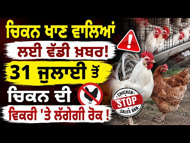 ਚਿਕਨ ਖਾਣ ਵਾਲਿਆਂ ਲਈ ਵੱਡੀ ਖ਼ਬਰ ! 31 ਜੁਲਾਈ ਤੋਂ ਚਿਕਨ ਦੀ ਵਿਕਰੀ 'ਤੇ ਲੱਗੇਗੀ ਰੋਕ !