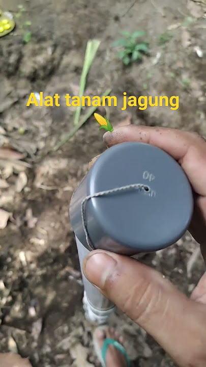 alat tanam jagung pvc #petanijagung #pvc