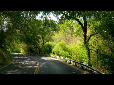 A Drive Through Cameron Park in Waco, Texas | Washington Ave. to Lovers Leap | Aug 9, 2021