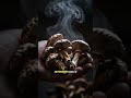 Psilocybin Just Did What No Antidepressant Could