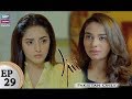 Watch Shiza Episode 29 - ARY Zindagi Drama Online In HD