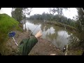 Platypus murrimbidgee river 27522 wagga wagga nsw