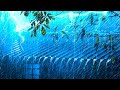Goodbye Insomnia With Heavy RAIN Sound | Rain Sounds On Old Roof In Foggy Forest At Night, STUDY