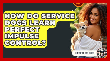 How Do Service Dogs Learn Perfect Impulse Control? - Obedient Dog Guide