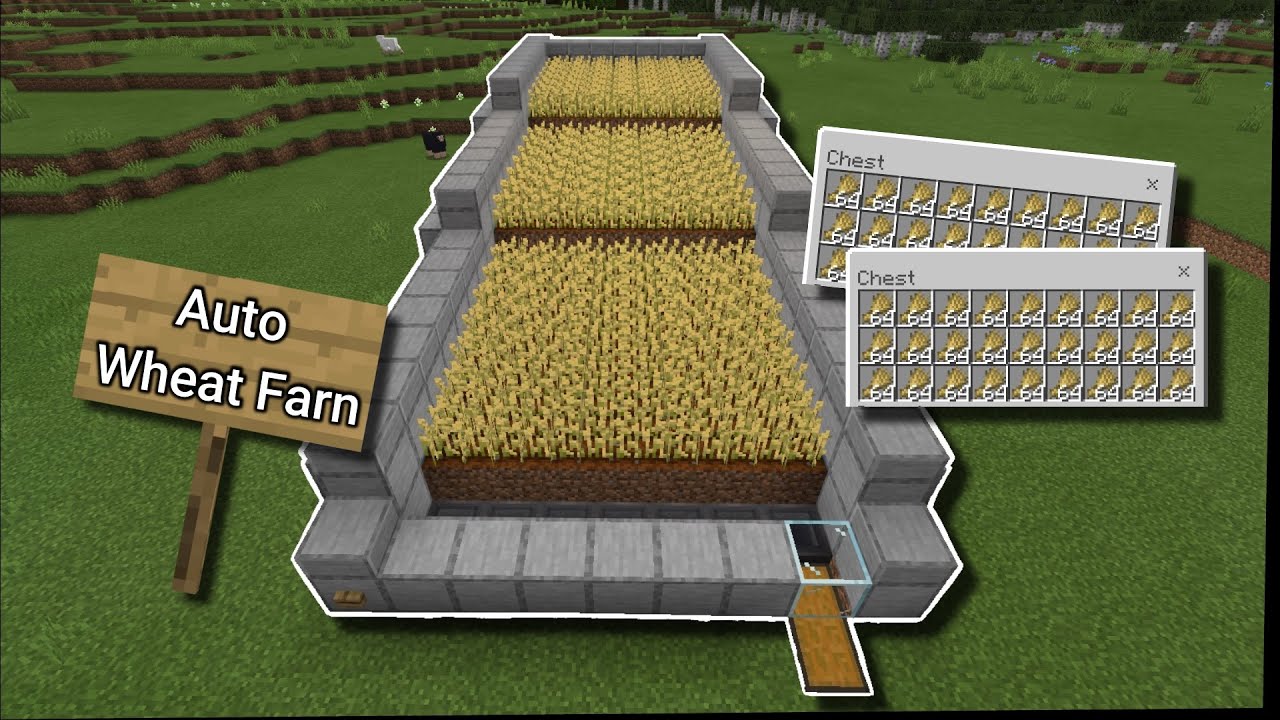 How to make an Auto Wheat Farm in Minecraft 