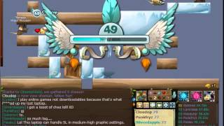 transformice video
