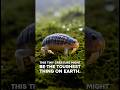 10 Real Facts That Sound Completely Fake