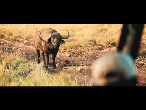 Lewa Safari Camp - Kenya - Elewana Collection