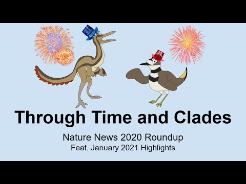 Through Time And Clades