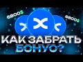 BINGX - Получаем Максимальные Бонусы за Регистрацию (и не только)