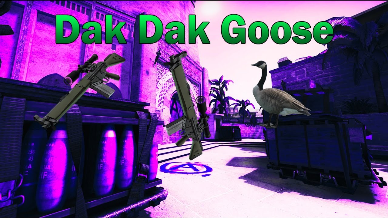 Dak Dak Goose - CSGO - YouTube