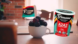 Trimona Bulgarian Yogurt, A2A2 Probiotic Yogurt Spec Ad By .