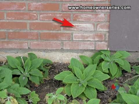 Vídeo: Para que são usados os folheados de tijolo exteriores?