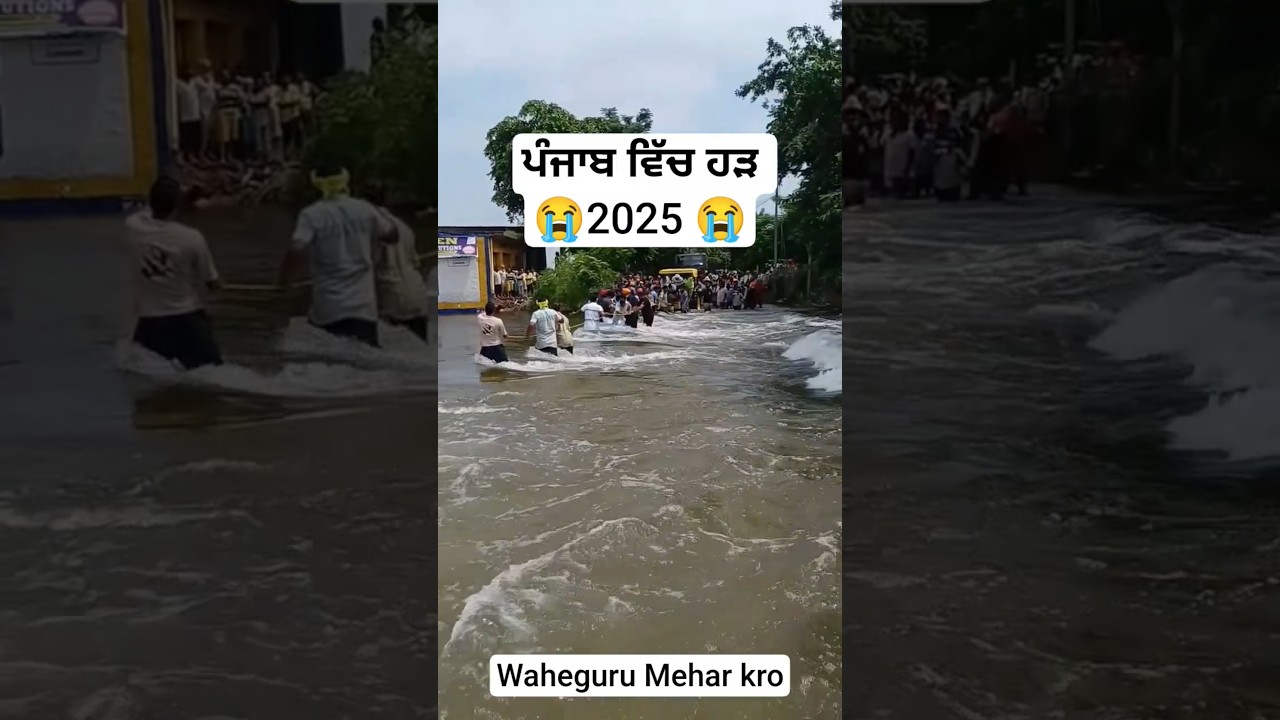 new video punjab haryana news 