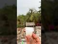 Survival Skills: SMART ideas and Useful in forest #survival #useful #ideas #smart #shorts #camping