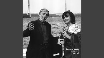 Воспоминания о Вермишеве (Из "Стратегия риска")