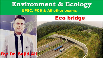 Eco bridge by Dr. Sajid Ali Sir