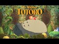 My Neighbor Totoro (1988)|となりのトトロ |豆豆龍| Animal Crossing New Horizons| 动物森友会