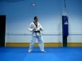 14 Estilos de patadas de taekwondo y dos con salto, 14 styles of taekwondo kicks and two jumping