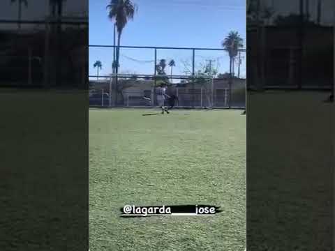 2 vid