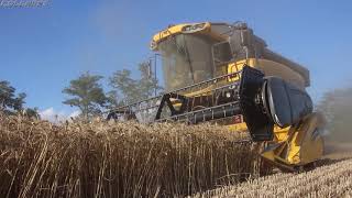 New Holland Cx5090 Hillside Az. Agr. Ruggieri -Harvest Season 2020-