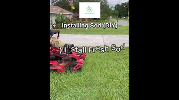 9 Tips on Installing Sod Yourself (DIY) | Steve And Steven’s Lawn Care