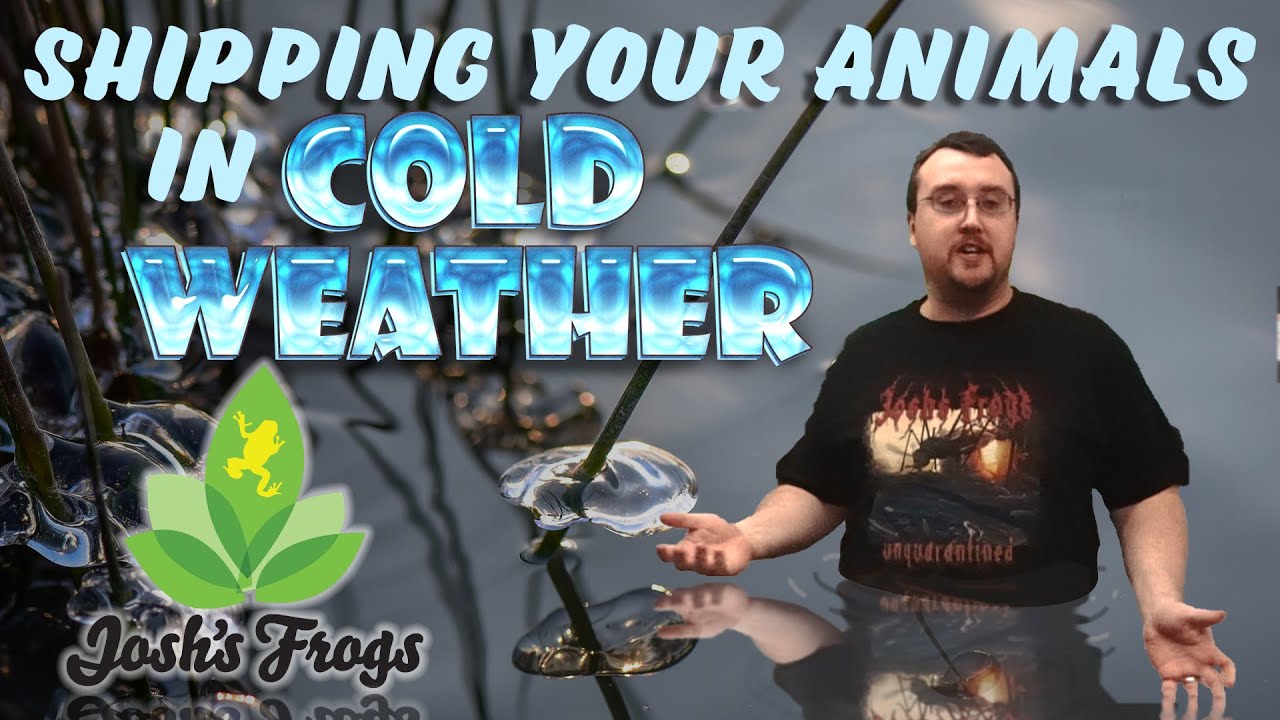 Cold Weather Shipping For Live Animals