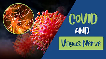 COVID and the vagus nerve