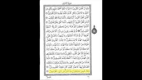 قرآن كريم الشيخ عبد الرحمن بن موسى ورش عن نافع حزب 17