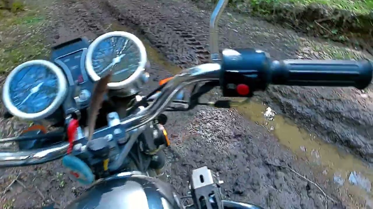 Выезд в лес. Мопед Альфа!!!