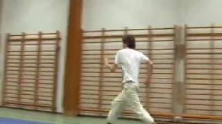 Gustav - Sampler (2005)