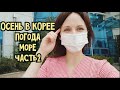 ОСЕНЬ В КОРЕЕ! ПОЕЗДКА К МОРЮ.ЧАСТЬ 2! ЗАГАДОЧНЫЕ КОРЕЙСКИЕ ТУАЛЕТЫ!