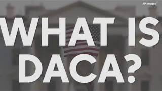 What you need to know about DACA
