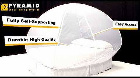 Pyramid Mosinet Pop Up Bed Net | Purple Turtle