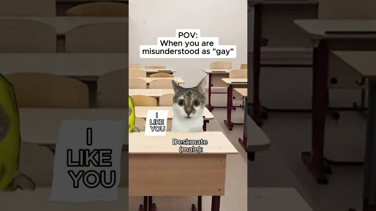 CAT MEMES When You Are Misunderstood Shorts Catmemes Relatable